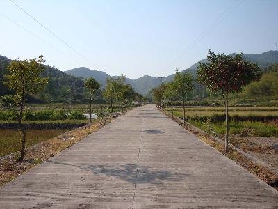 鄉村道路