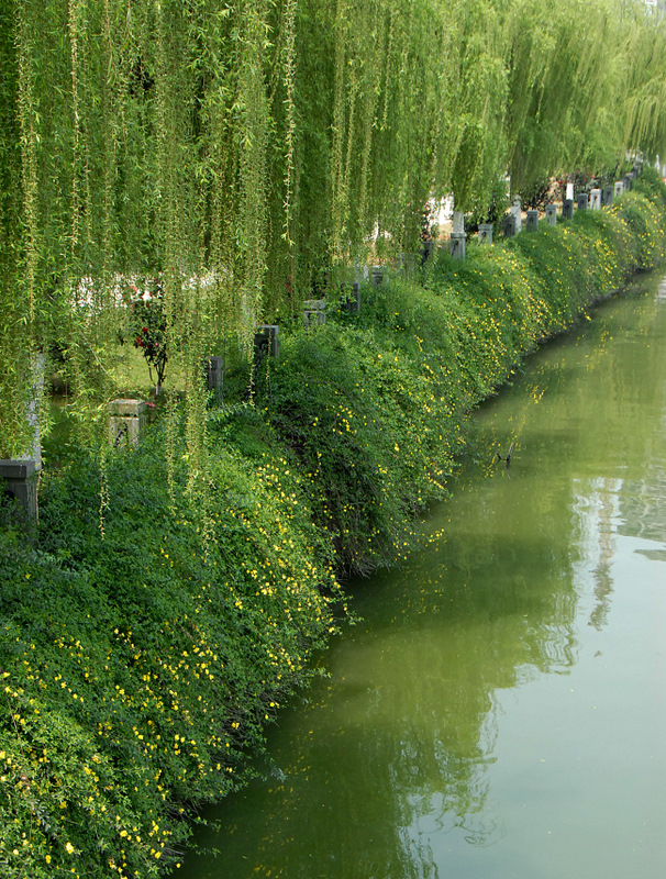 美麗校園