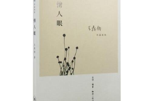 情人眼(2016年生活·讀書·新知三聯書店出版的圖書)