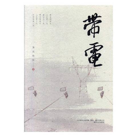 帶電(2019年春風文藝出版社出版的圖書)