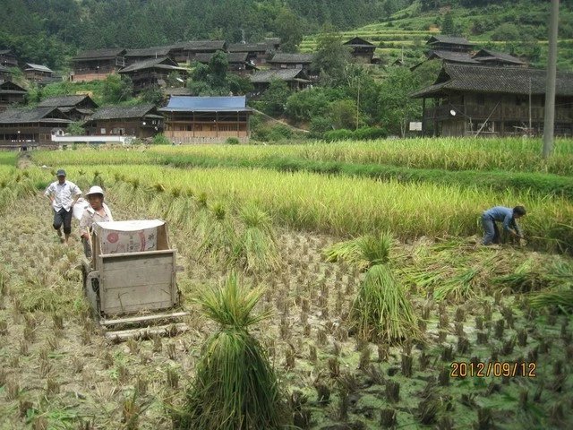 壽洞村