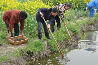 原料基地建設2