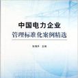 中國電力企業管理標準化案例精選