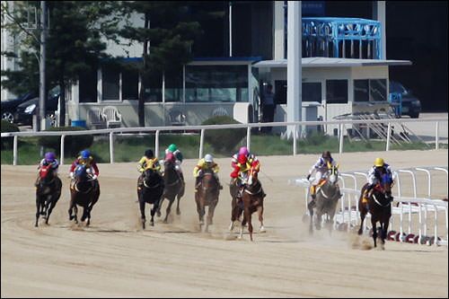 首爾賽馬公園