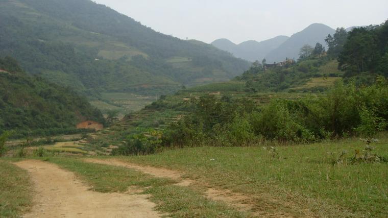 進村道路