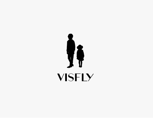 Visfly