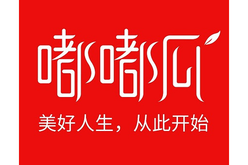 廣州嘟嘟瓜美店科技有限公司