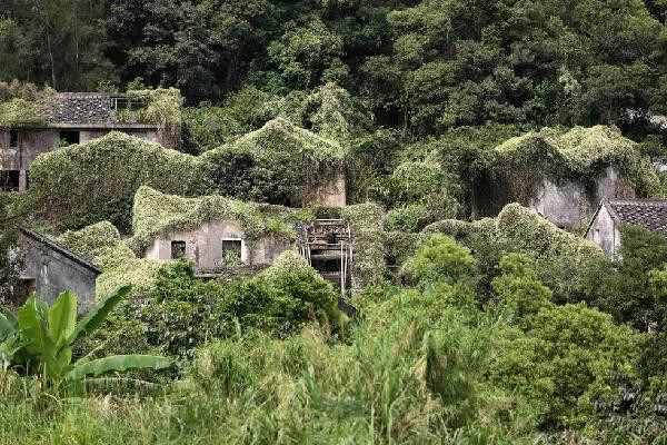 鎮瑤洞村