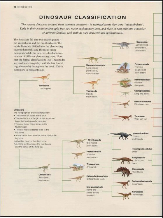 恐龍與史前生物世界百科全書2013