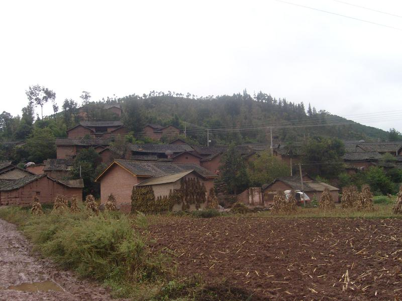 山背後村(雲南曲靖市會澤縣樂業鎮下轄村)