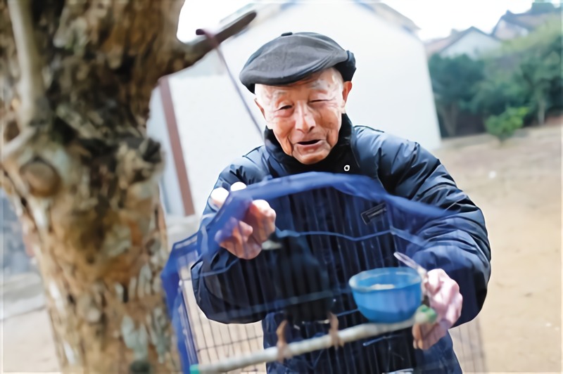 養鷯哥是張修隆晚年的一大愛好。