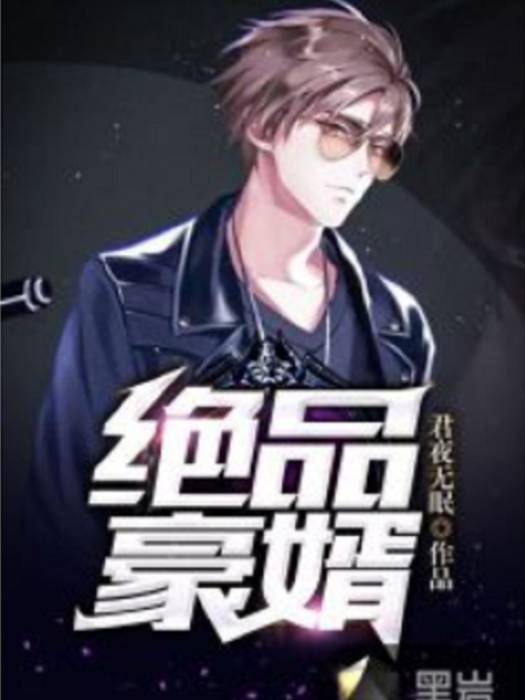 絕品豪婿(君夜無眠所著小說)