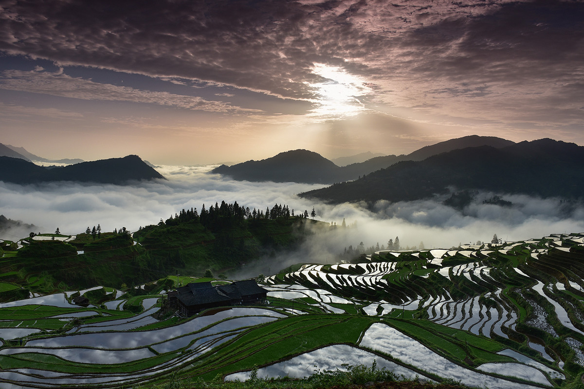 苗嶺國家森林步道