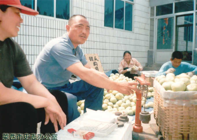 崔格莊村