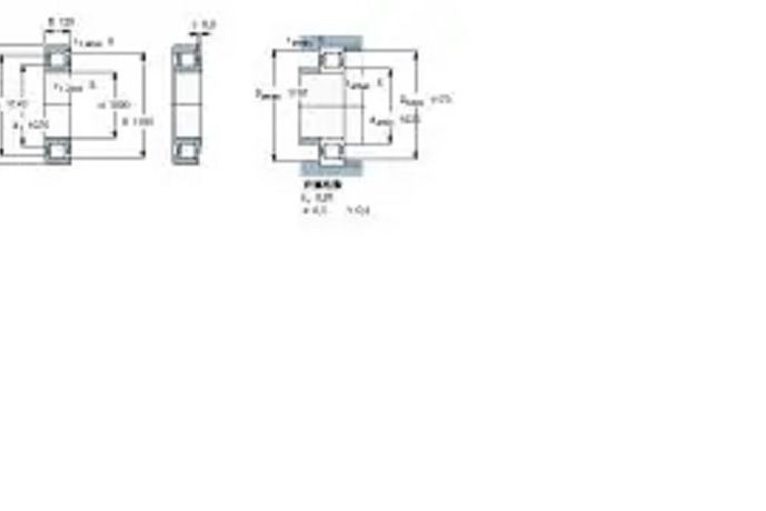 SKF NF28-1000ECMP-HA1軸承