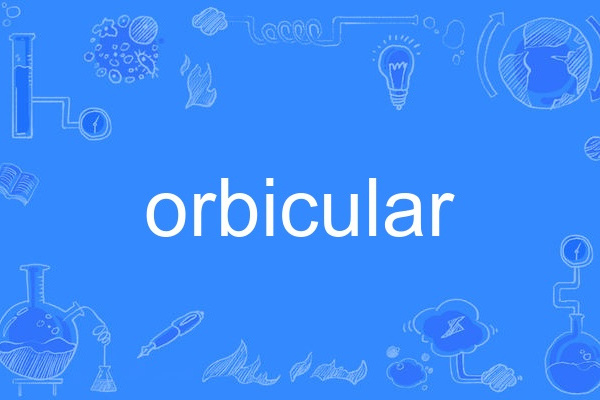 orbicular