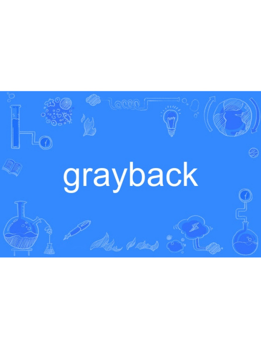 grayback