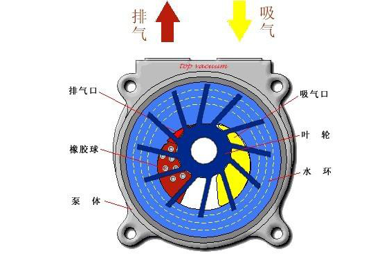 2BV型水環式真空泵