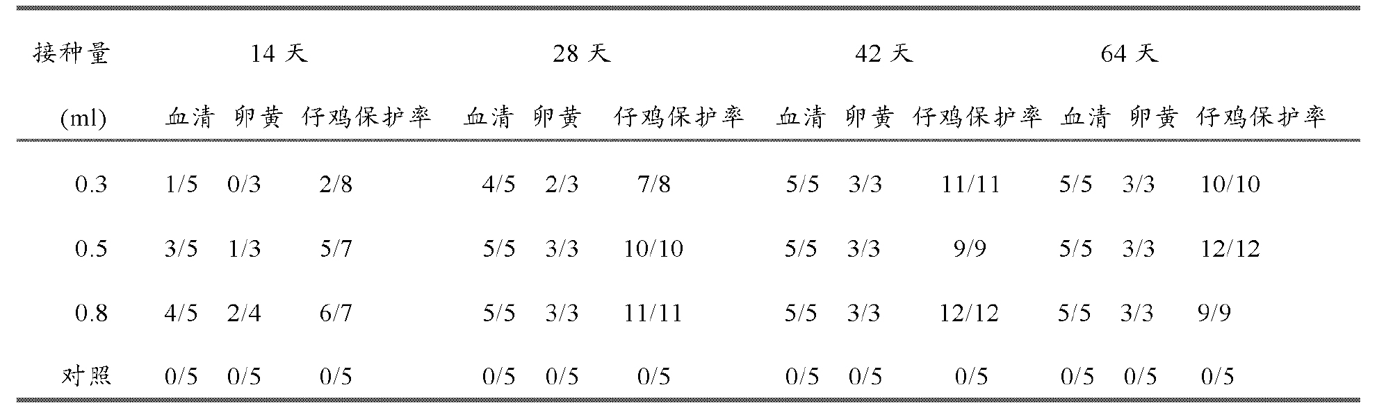 雞傳染性法氏囊病超強毒的細胞適應株及其套用