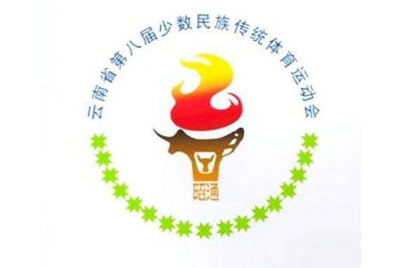 雲南省第八屆少數民族傳統體育打陀螺比賽