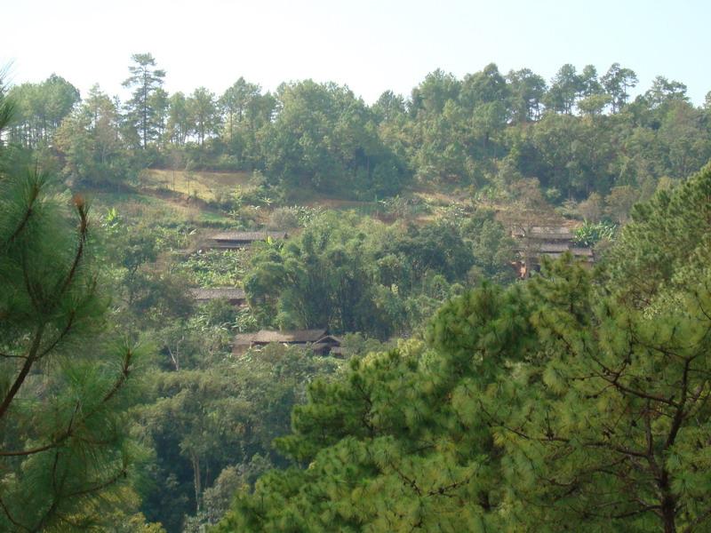 天生橋自然村(雲南永德縣小勐統鎮下轄村)