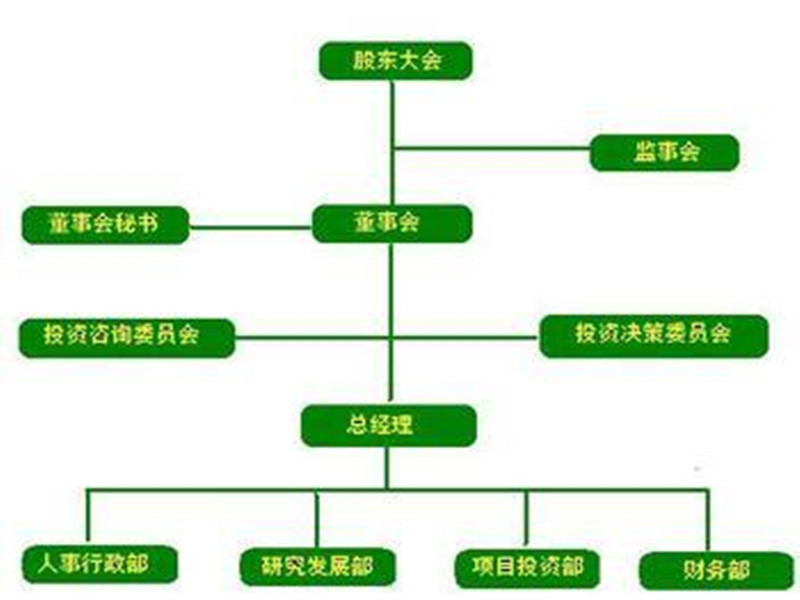 公司組織結構