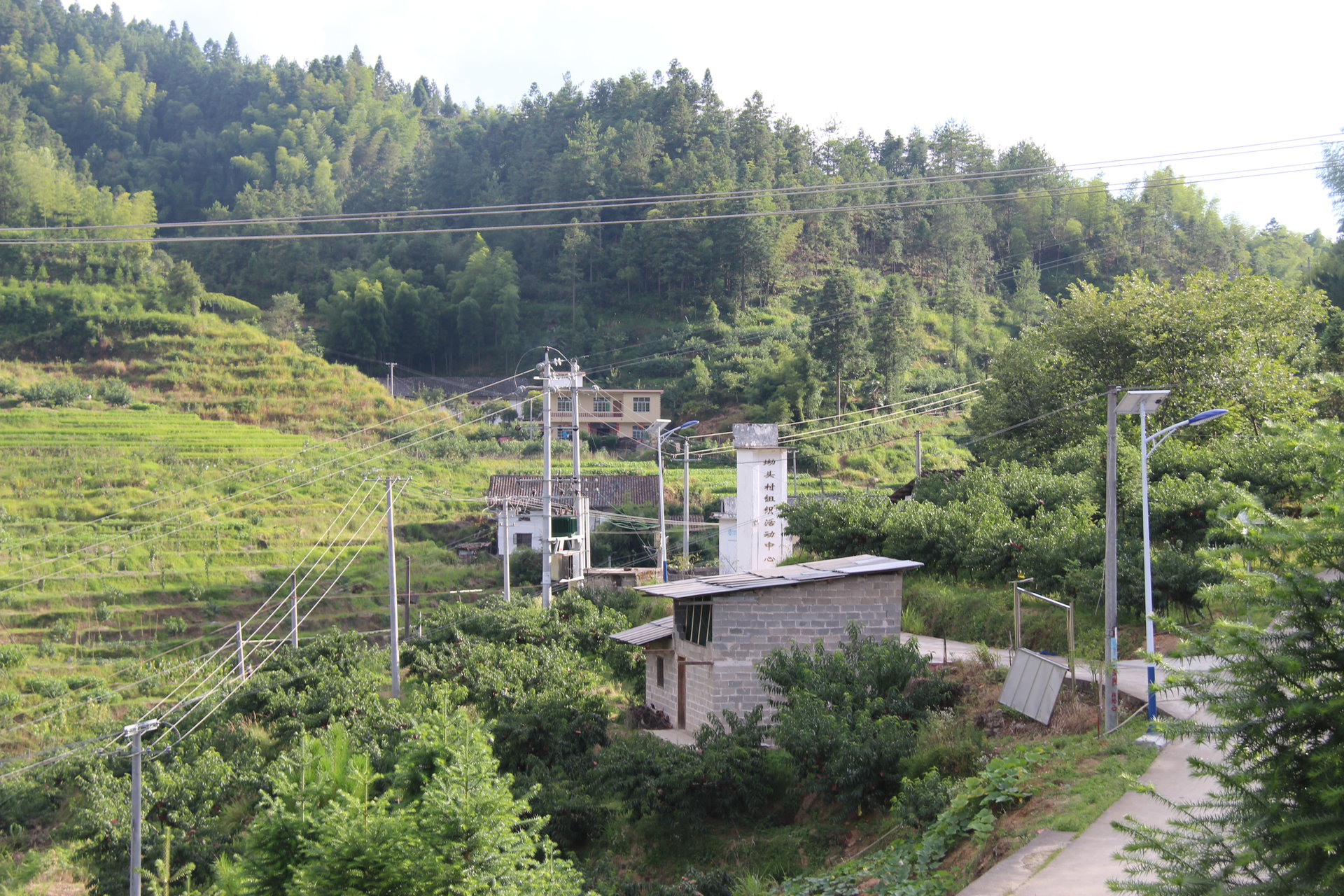 下村坳頭村