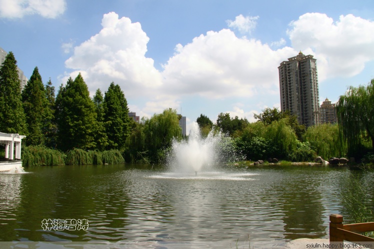 新虹橋中心花園