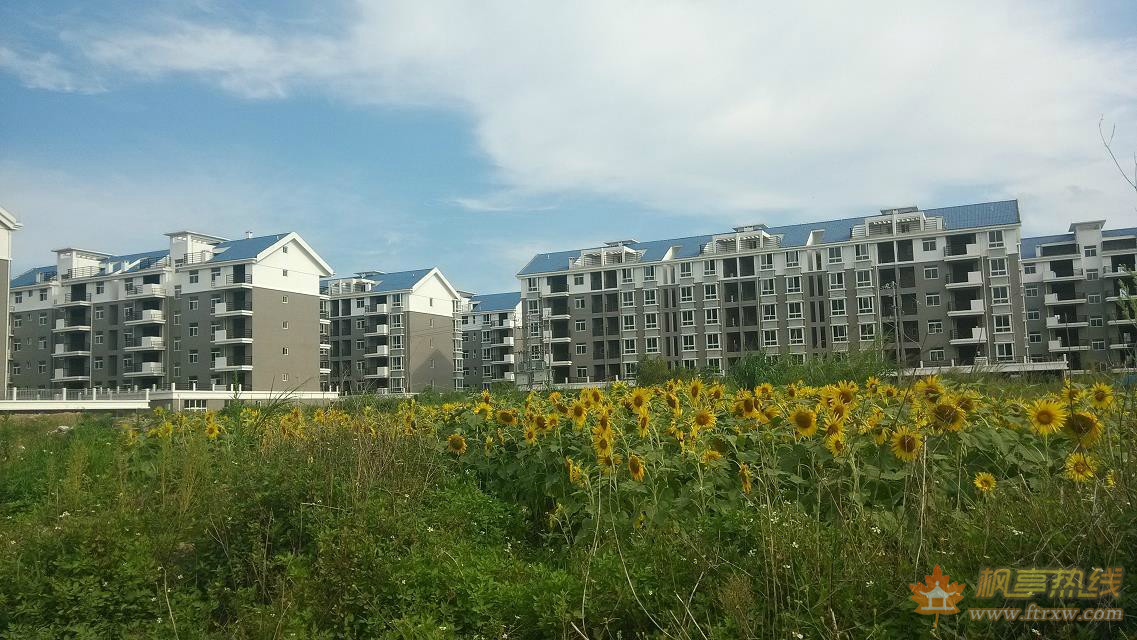 楓亭輝煌村(輝煌村（福建省莆田市仙遊縣楓亭鎮下轄村）)