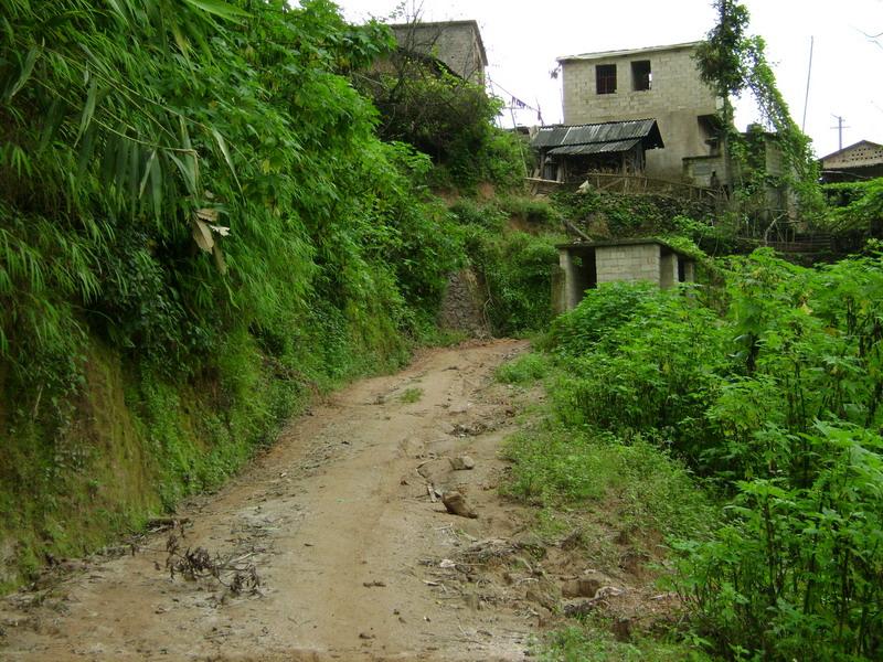 和蘇村進村道路