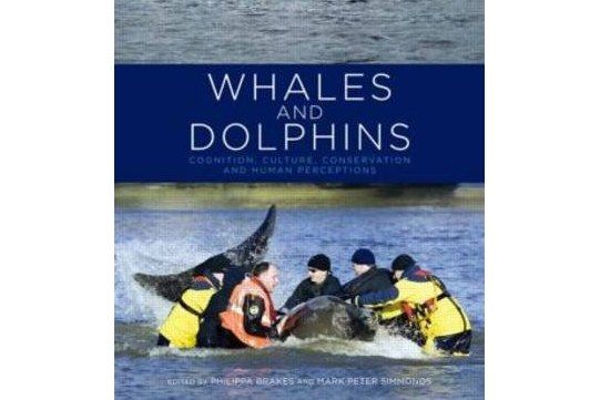 Whales and Dolphins