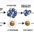 腫瘤幹細胞(2009年07月東南大學出版社出版的圖書)