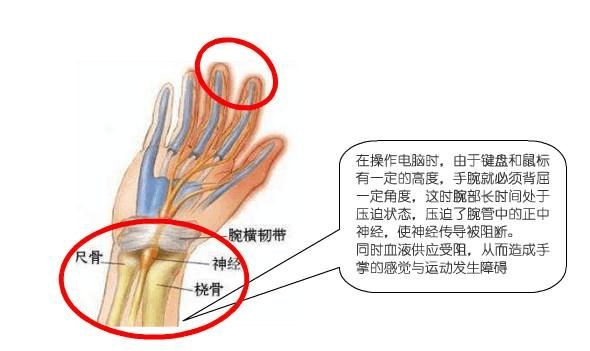 深圳市人體工程學套用協會