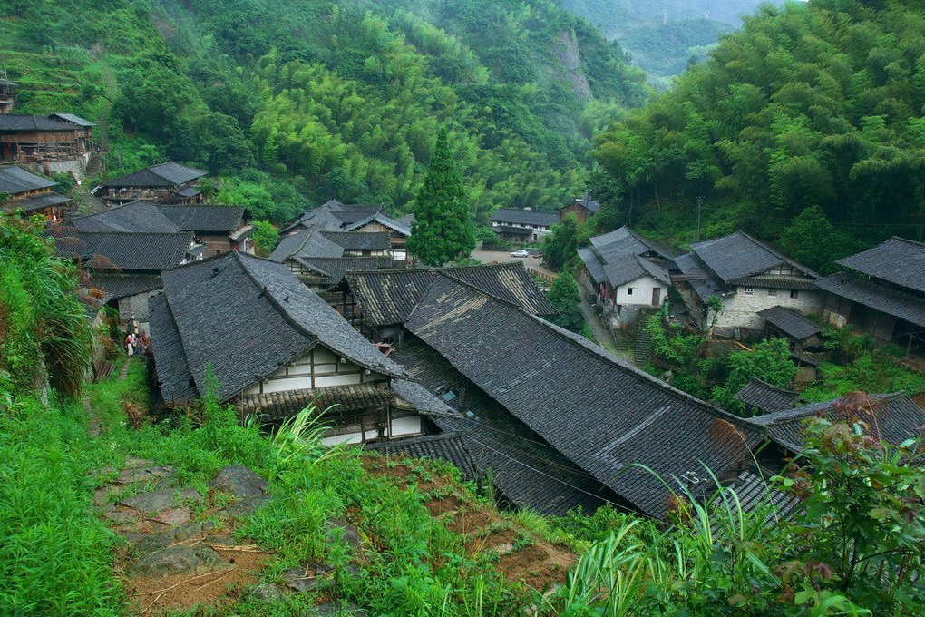 老虎坳村