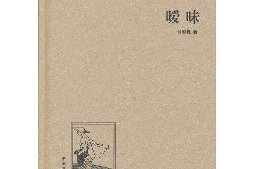 曖昧(2013年中國國際廣播出版社出版的圖書)