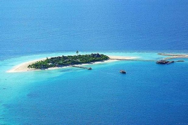 多尼蜜姬莉島