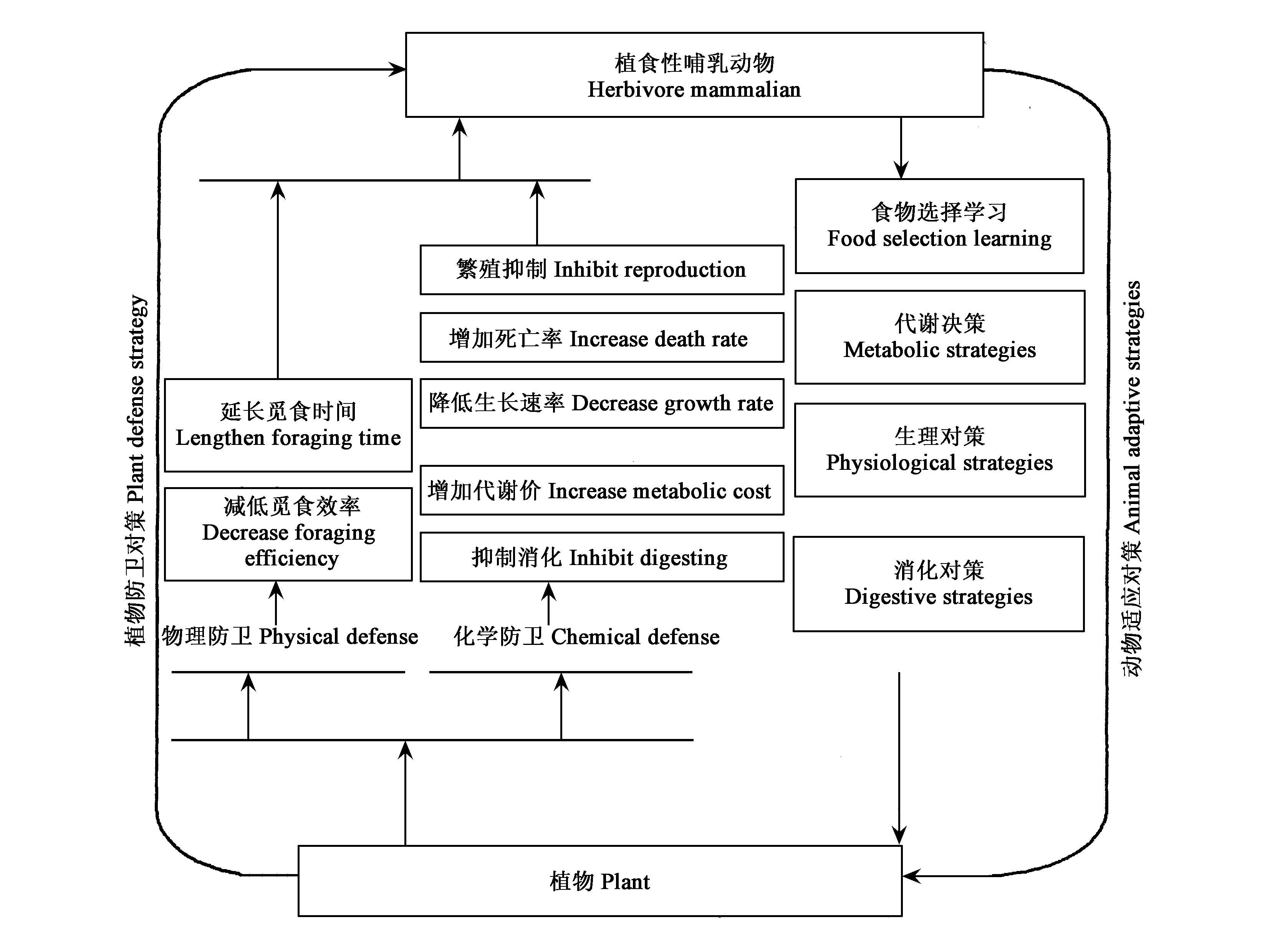 協同進化