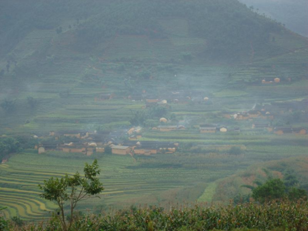 岩子頭村(雲南楚雄市中山鎮下轄村)