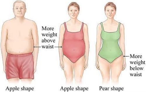 蘋果型身材又稱為男性型肥胖