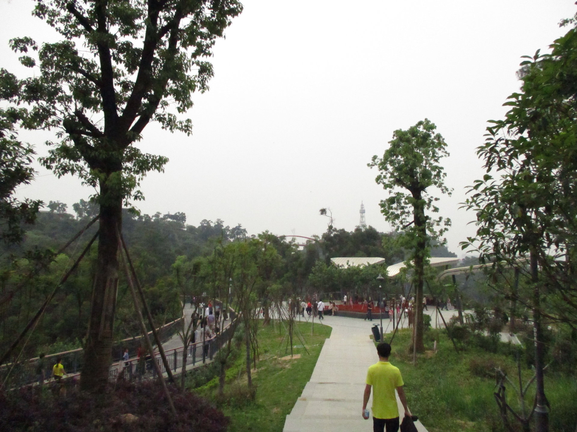 山脊線登山道