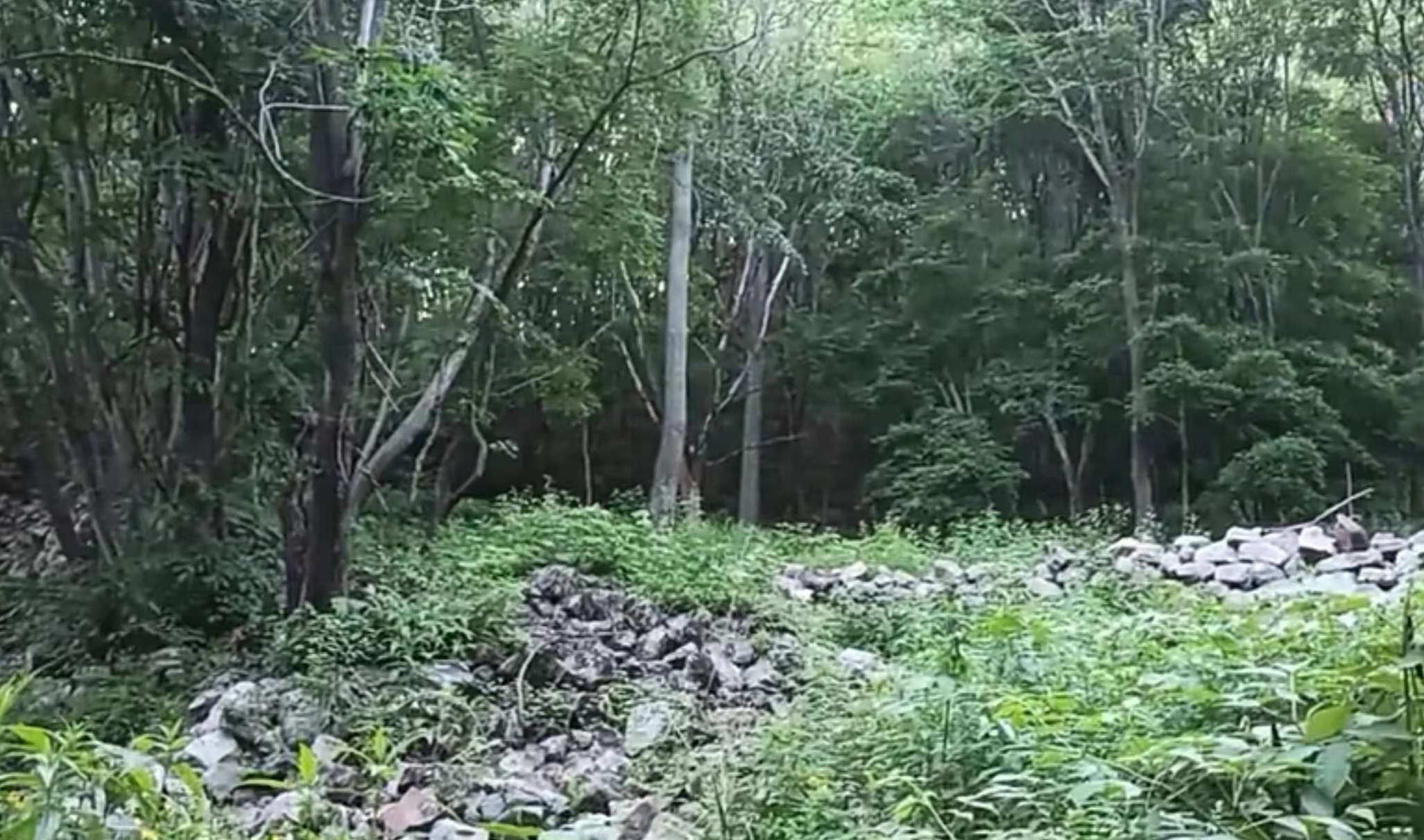 霸王朝山城遺址