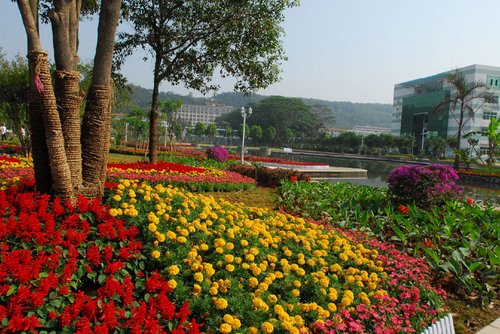 中華名特優植物園