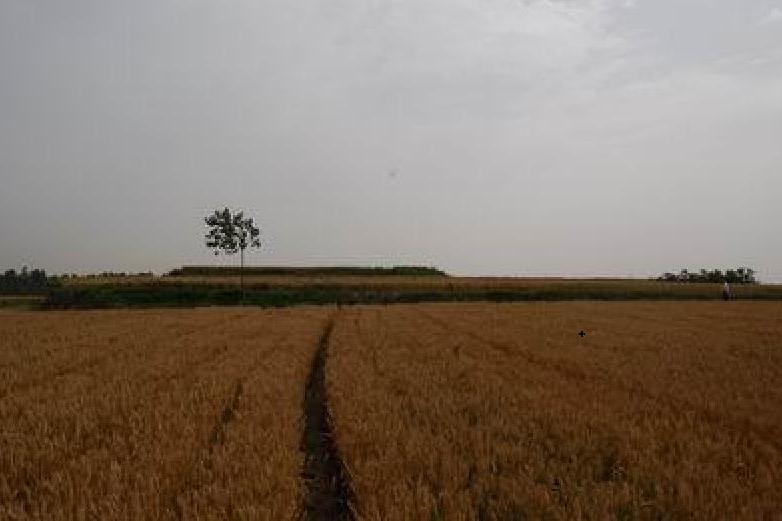 涼馬台(河北臨漳縣涼馬台)