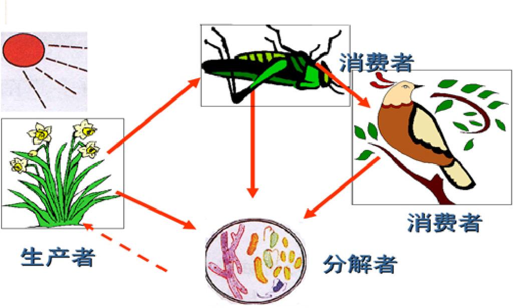 受控生態系統污染實驗