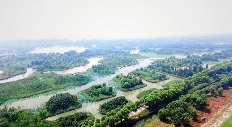 山東濟西國家濕地公園