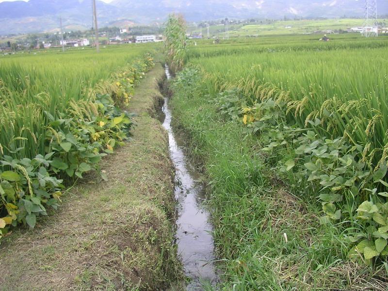 農田水利建設