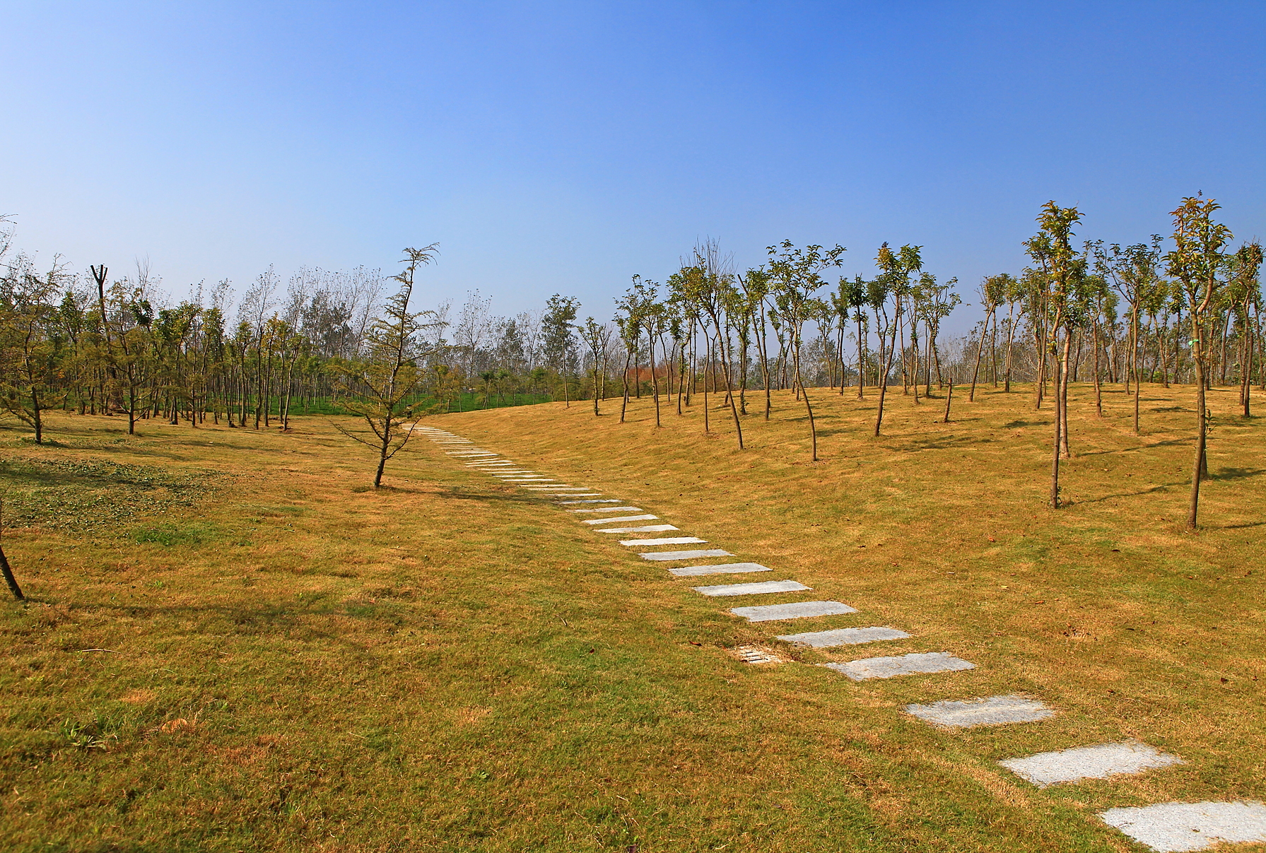 鹽城市天山公園