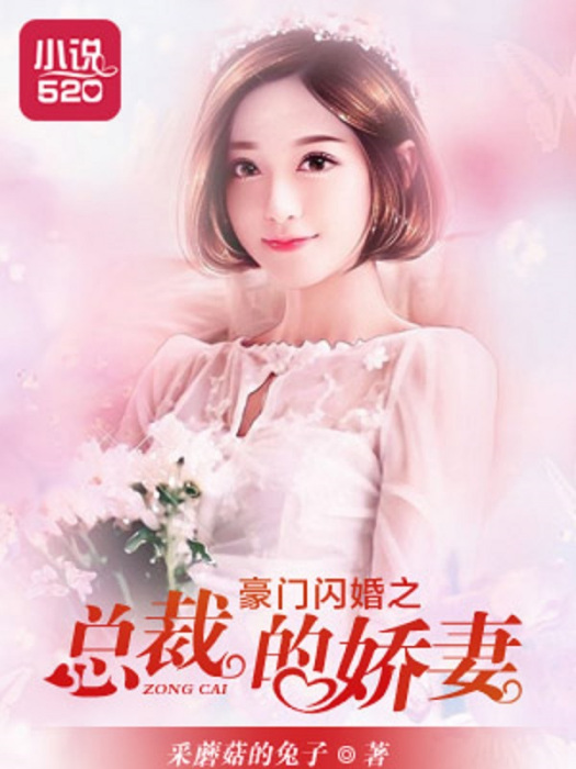 豪門閃婚之總裁的嬌妻