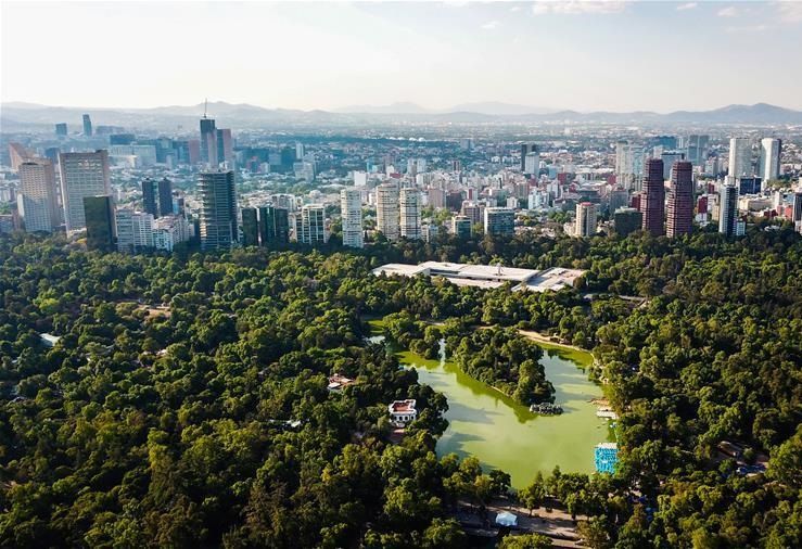 查普特佩克森林公園