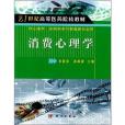 21世紀高等醫學院校教材：消費心理學